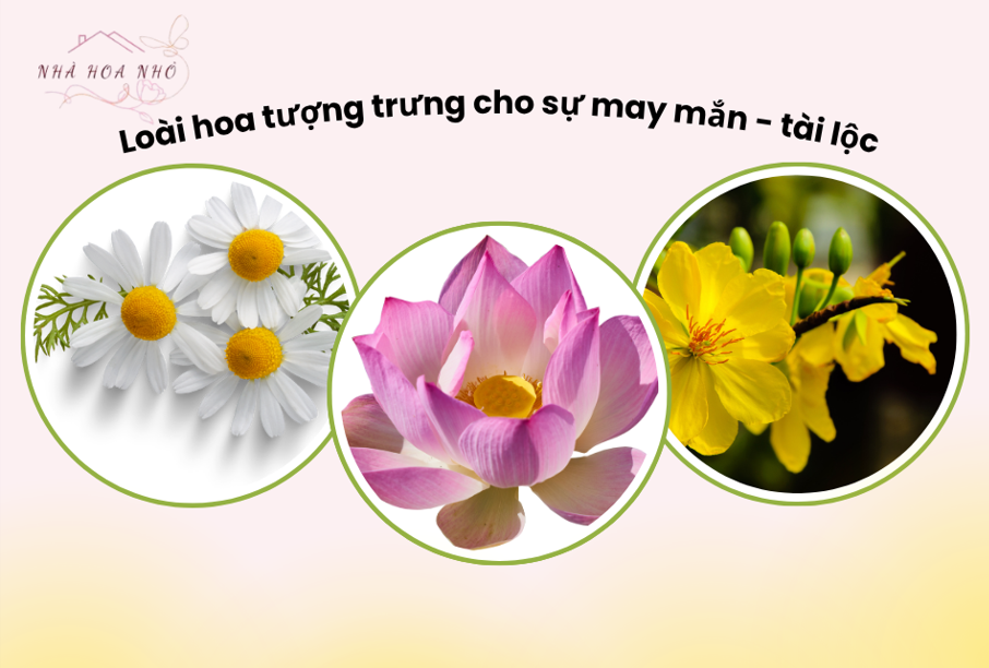 Những loài hoa mang lại sự may mắn, tài lộc bạn nên biết